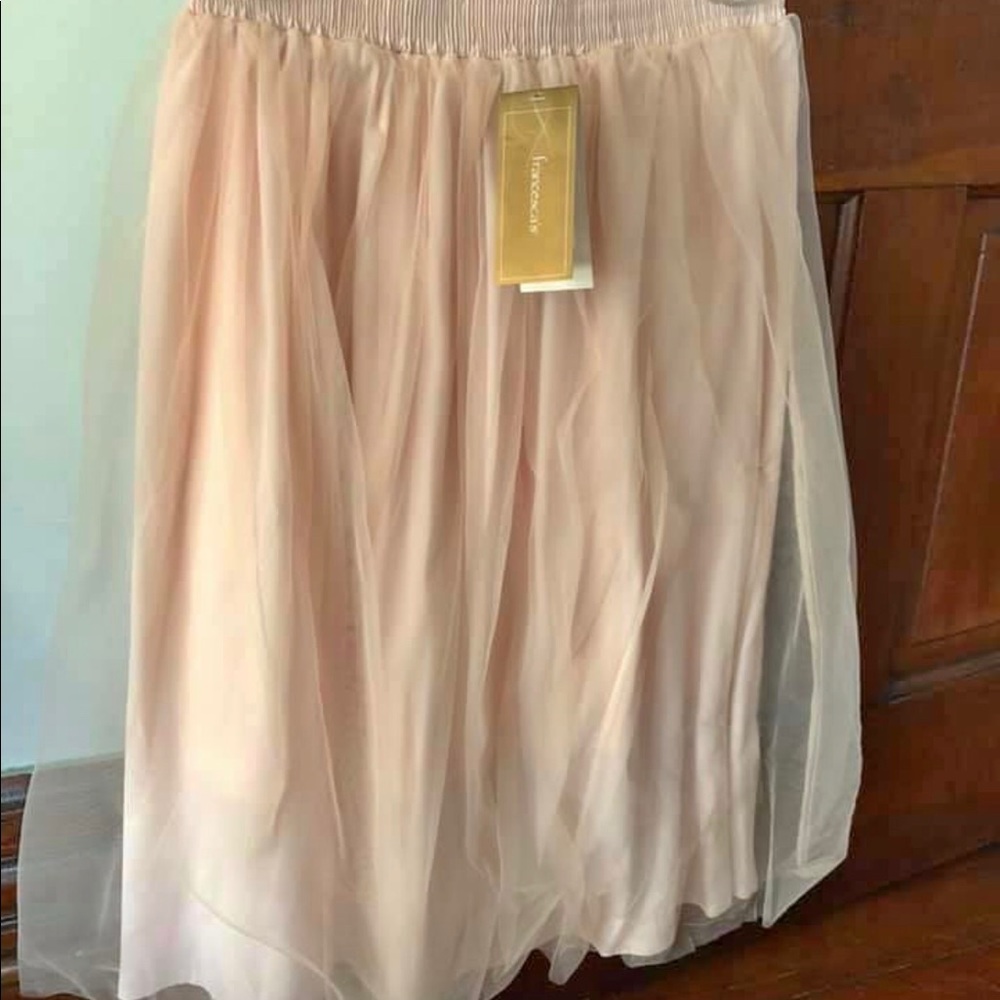 Beautiful Francesca’s Midi Tulle Skirt